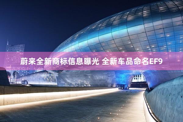 蔚来全新商标信息曝光 全新车品命名EF9