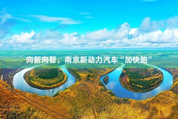 向新向智，南京新动力汽车“加快跑”