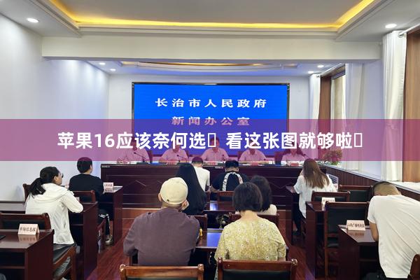 苹果16应该奈何选❓看这张图就够啦❗