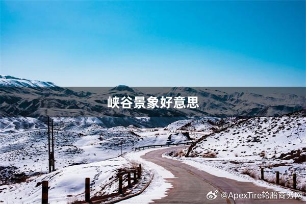 峡谷景象好意思