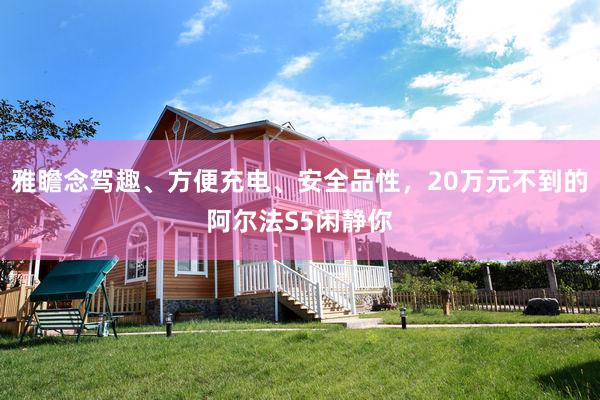 雅瞻念驾趣、方便充电、安全品性，20万元不到的阿尔法S5闲静你