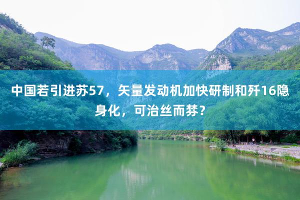 中国若引进苏57，矢量发动机加快研制和歼16隐身化，可治丝而棼？