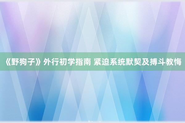 《野狗子》外行初学指南 紧迫系统默契及搏斗教悔