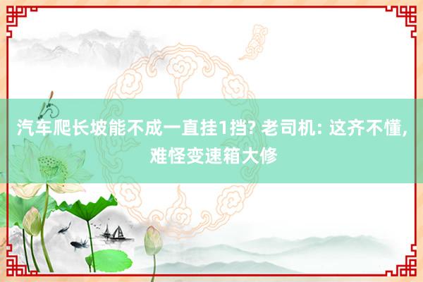 汽车爬长坡能不成一直挂1挡? 老司机: 这齐不懂, 难怪变速箱大修