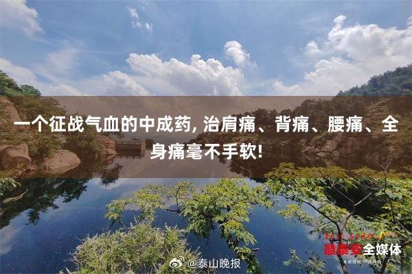 一个征战气血的中成药, 治肩痛、背痛、腰痛、全身痛毫不手软!