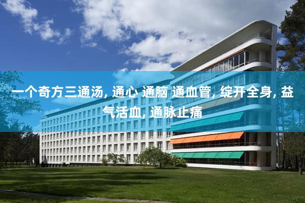 一个奇方三通汤, 通心 通脑 通血管, 绽开全身, 益气活血, 通脉止痛