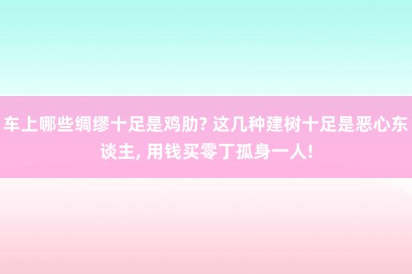 车上哪些绸缪十足是鸡肋? 这几种建树十足是恶心东谈主, 用钱买零丁孤身一人!