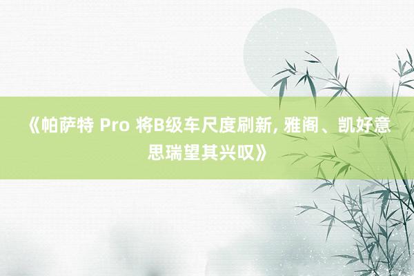 《帕萨特 Pro 将B级车尺度刷新, 雅阁、凯好意思瑞望其兴叹》