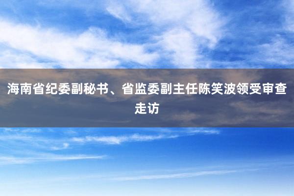 海南省纪委副秘书、省监委副主任陈笑波领受审查走访