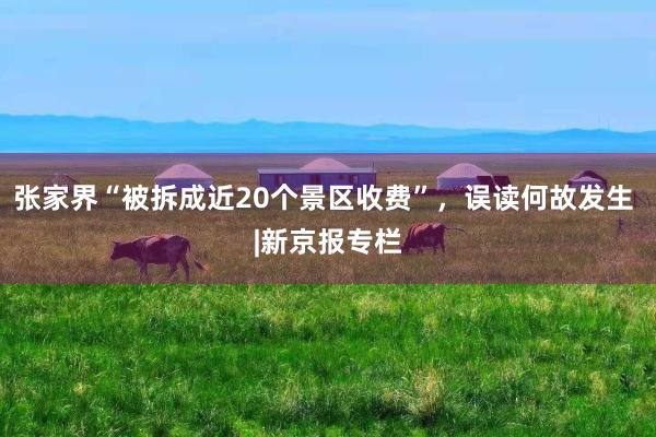 张家界“被拆成近20个景区收费”，误读何故发生 |新京报专栏